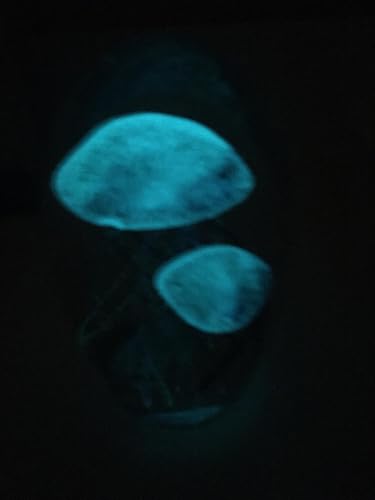 Miniatura 4 de G.I.I Pisapapeles de doble medusa de cristal, color rojo, brilla en la oscuridad, 5 pulgadas de alto.