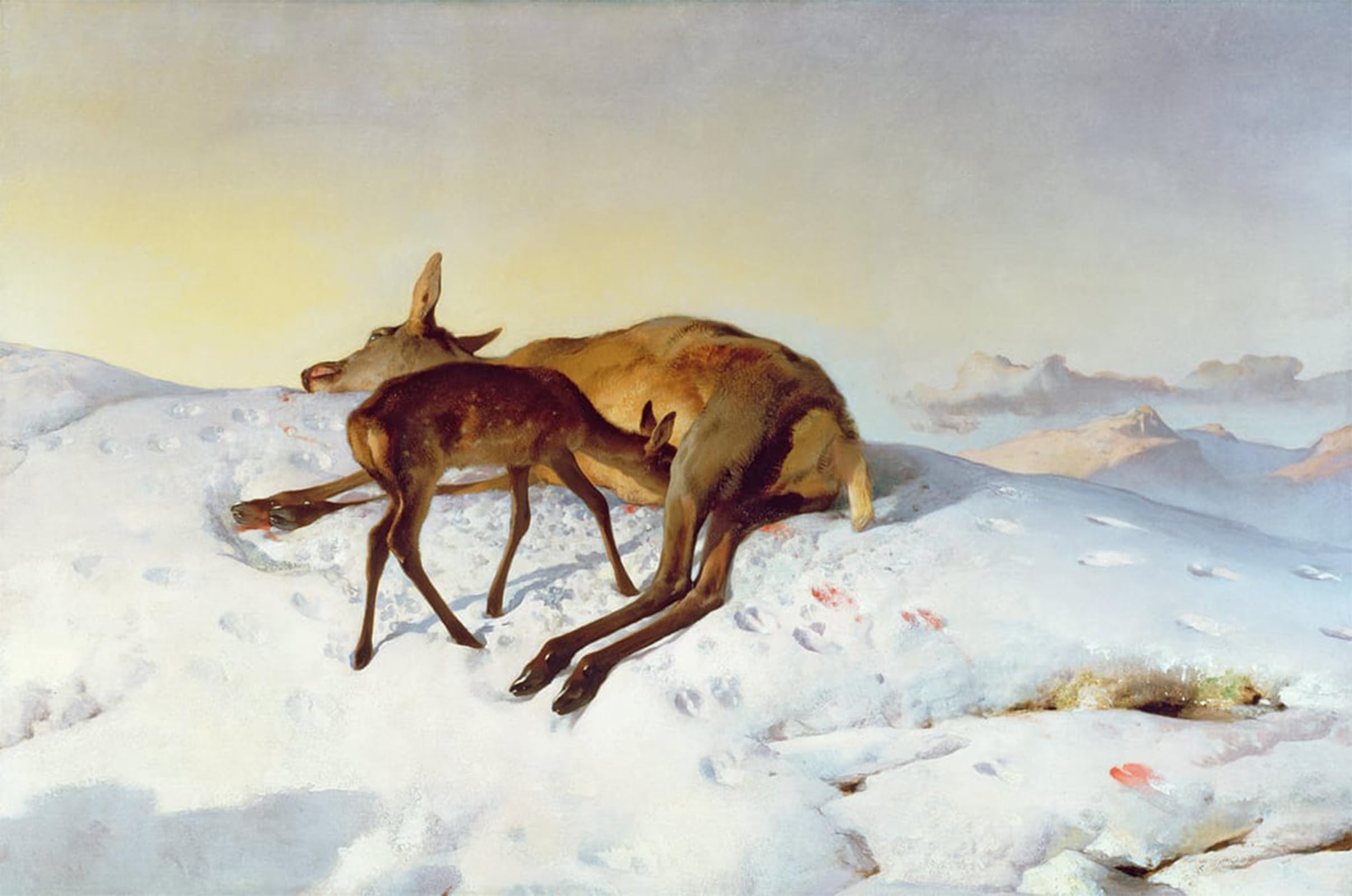 ARTXLXXBN Famous Painting Canvas Artwork Graffiti Print the Random Shot by Edwin Landseer Portrait Canvas Image for Home Decor 60x90cm