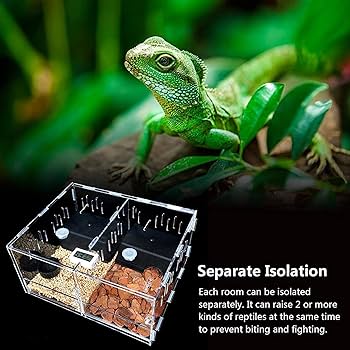 アクリル飼育ケージ 2個まとめ売り ボールパイソン レプタイル