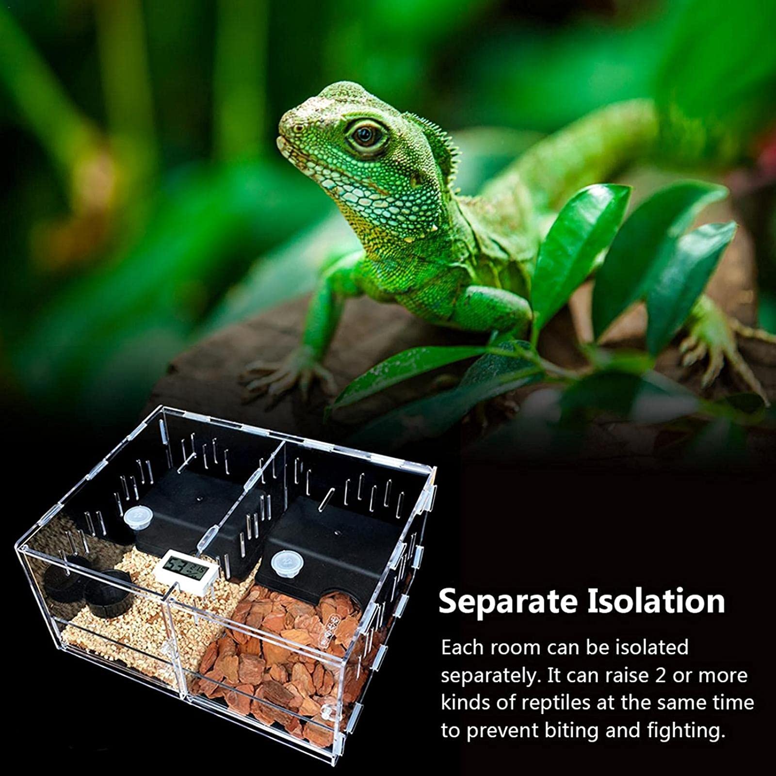 Reptile Box E22 アクリル製透明飼育ケージ　レプタイルボックス アクリルケージ(レプタイル用ボックス) L ワイドハイ クリア TOP