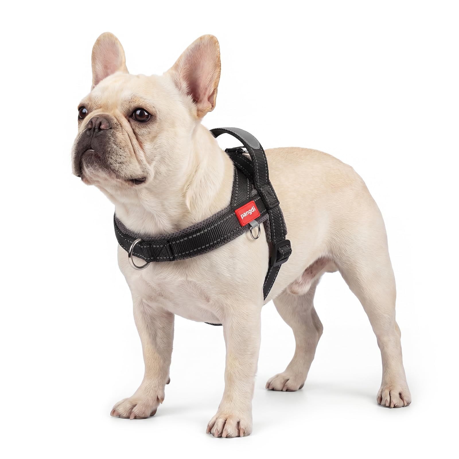 No Pull Dog Harness with Handle