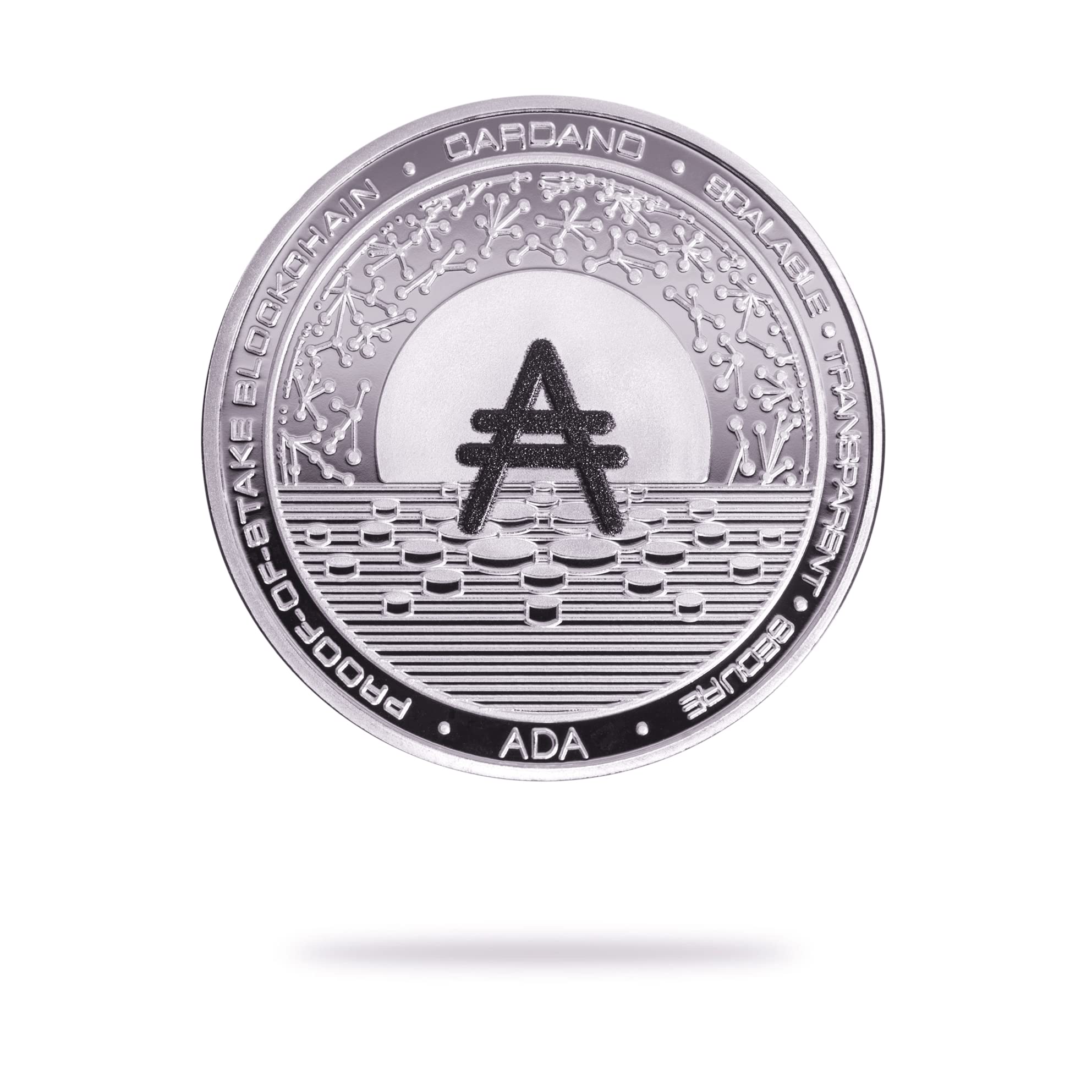 Amazon.com: Cryptochips | Cardano (ADA) 實體加密貨幣| 紀念加密貨幣您可以保留: 辦公用品