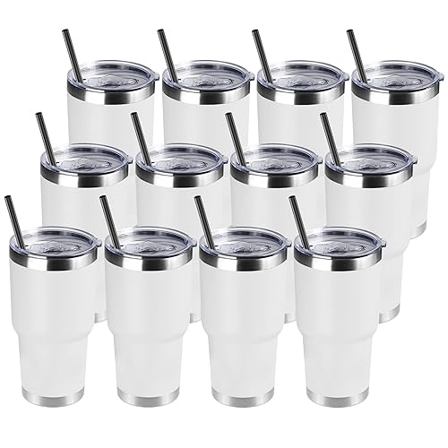DOMICARE 30 oz Tumbler with Lid and Straw, Stainless Steel