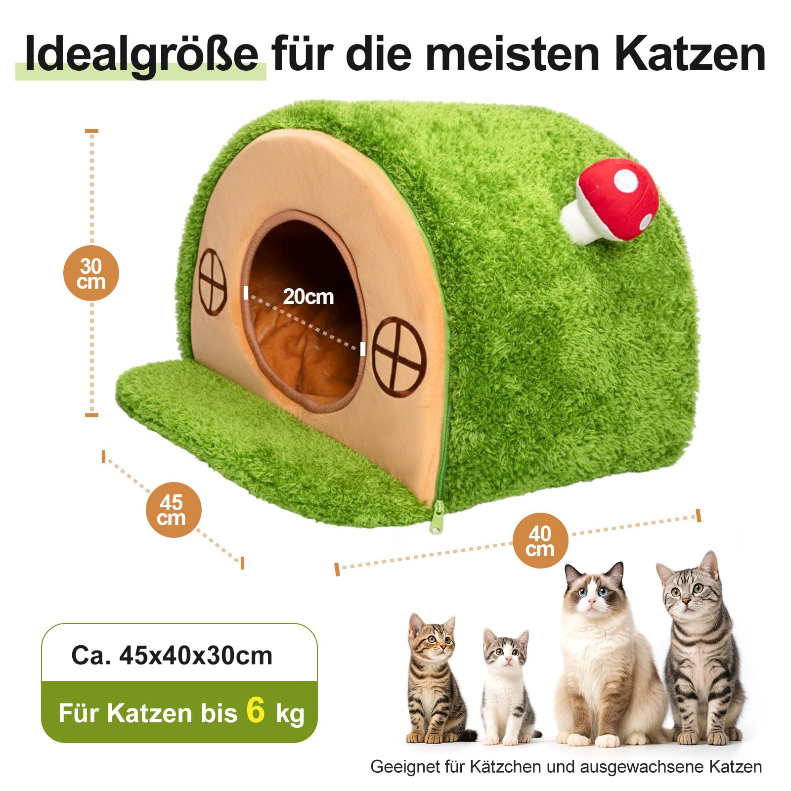 Baumhöhle Katzenbett, Katzenhöhle Indoor mit Pilzglocke | Katzenhaus mit Geborgenheit, waschbares Samtkissen, rutschfester Boden, stabil & schnell aufgebaut, für Katzen bis 6 kg