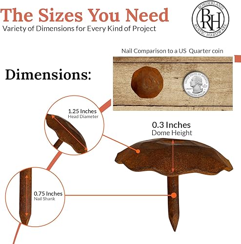 Miniatura 4 de Paquete de 25 clavos decorativos Iron Clavos de 1.25 pulgadas, oxidado, acento decorativo para mejoras del hogar, persianas de granja, puerta de