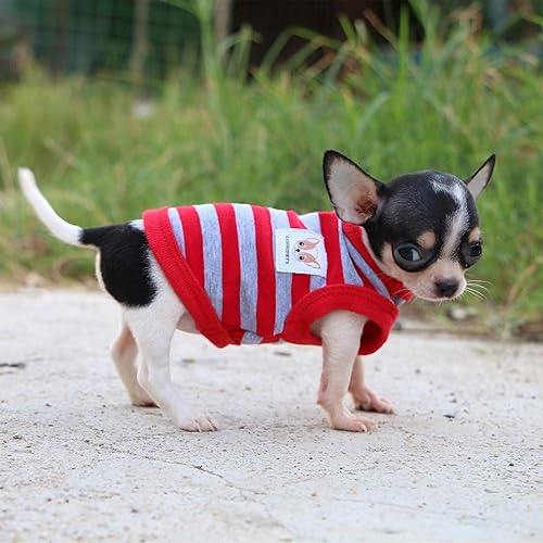 Miniatura 7 de Lophipets camisas para perros pequeños 100% algodón a rayas para cachorros perros Chihuahua