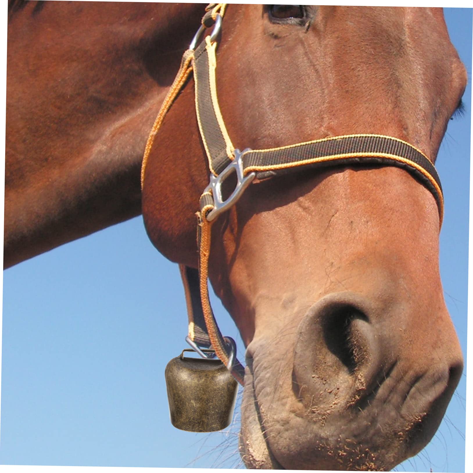 RORPOIR Metal Bells for Pet Collars 4pcs Avoid The Bear Bell for Dogs Cats Cows Outdoor Use