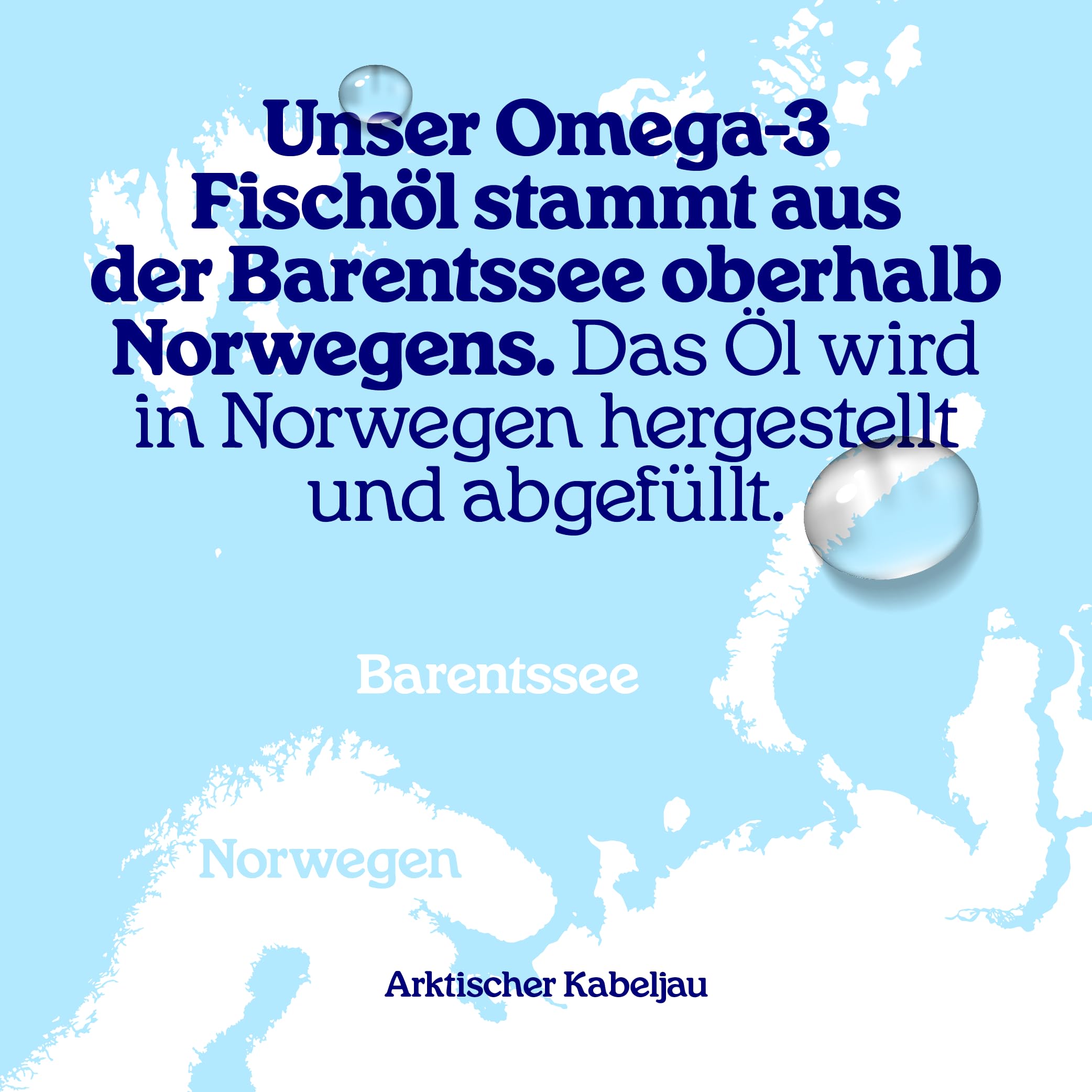 Arctic Blue Premium Omega 3 Fischöl 300ml für Hunde und Katzen in Lebensmittelqualität - Omega 3 & 6 Fettsäuren mit EPA & DHA - Öl für gesunden Stoffwechsel, glänzendes Fell und gesunde Haut