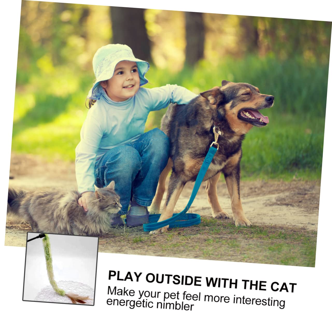 Ipetboom 15pièces Jouet Peluche pour Chat avec Rayé Et Plumes Accessoire Amusant pour Chats Renforcez Le Lien avec Votre Animal