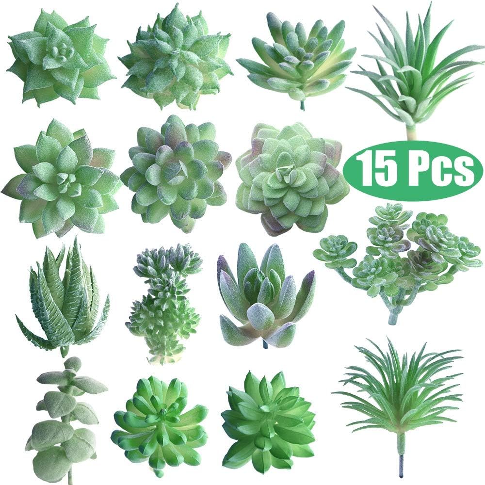 piccola palma per scrivania