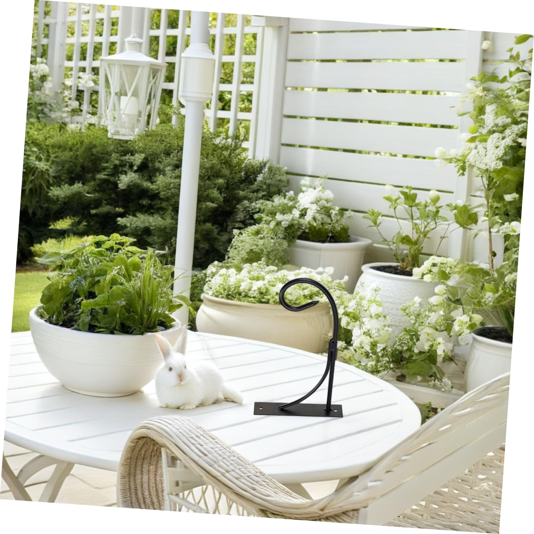 BESTonZON 2juegos Soporte De Pared para Flores Estilo Europeo Soporte Resistente De Hierro para Colgar Plantas Gancho para Macetas Cestas y Linternas para Decoración De Pared Sala De Estar o