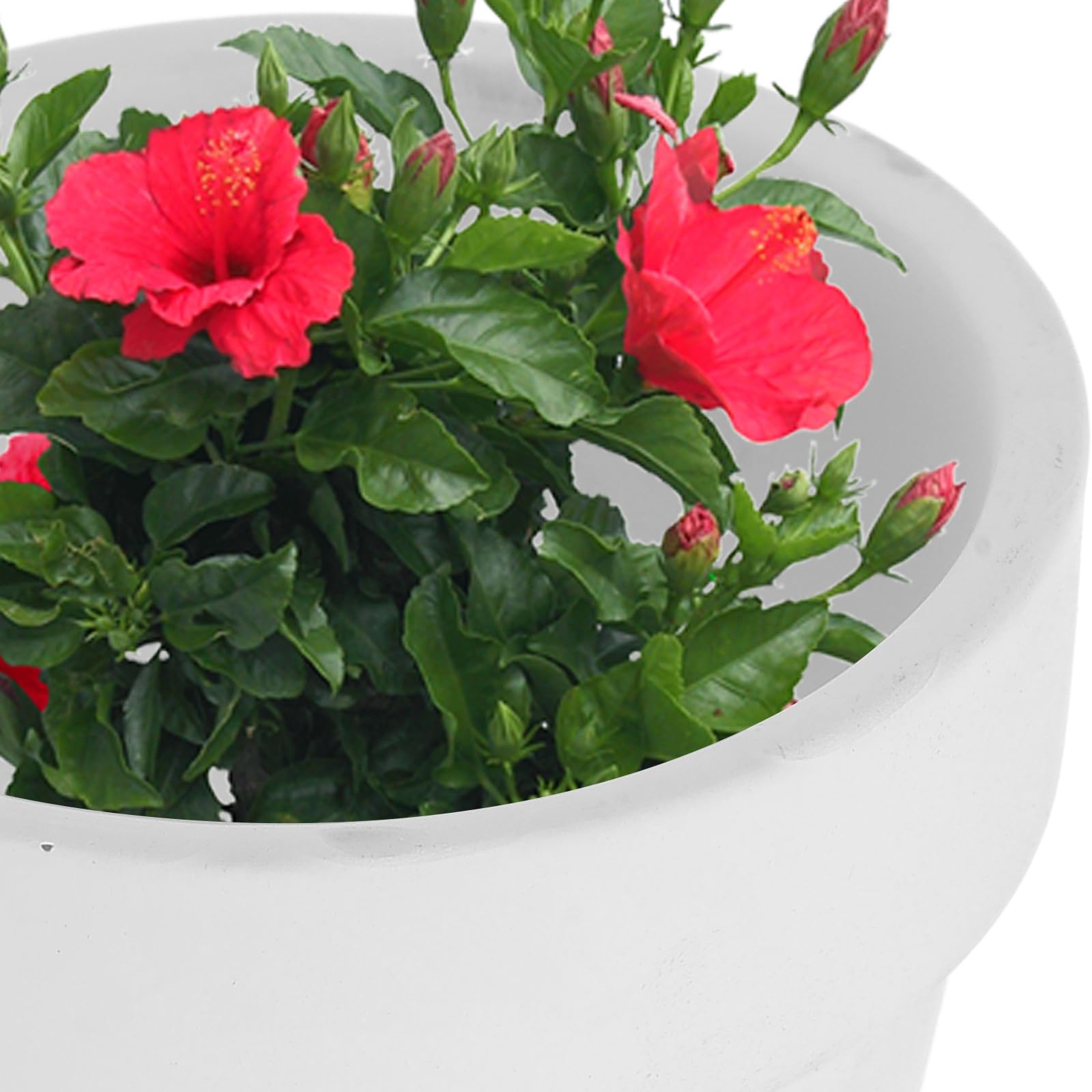 Housoutil 20 Unidades Macetas para Plantas Suculentas Pequeñas de Terracota de Color