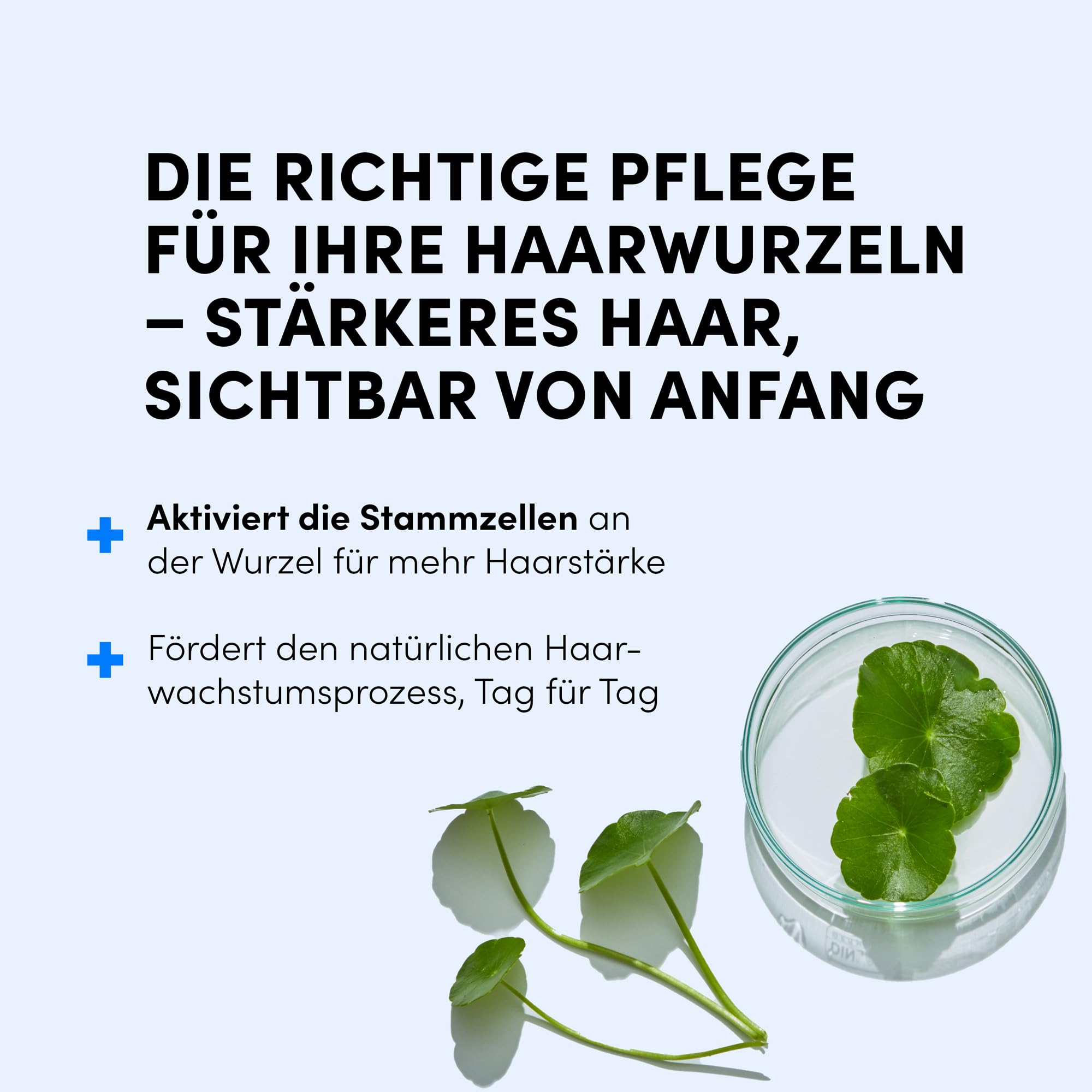 Dr. Balwi Microneedling-Roller & Hair Growth SerumSet – Anti Haarausfall, stärkt Haarwurzeln, fördert Haarwachstum mit Procapil & Stammzellen, ohne Silikone & Parabene, 10x6ml Flacon