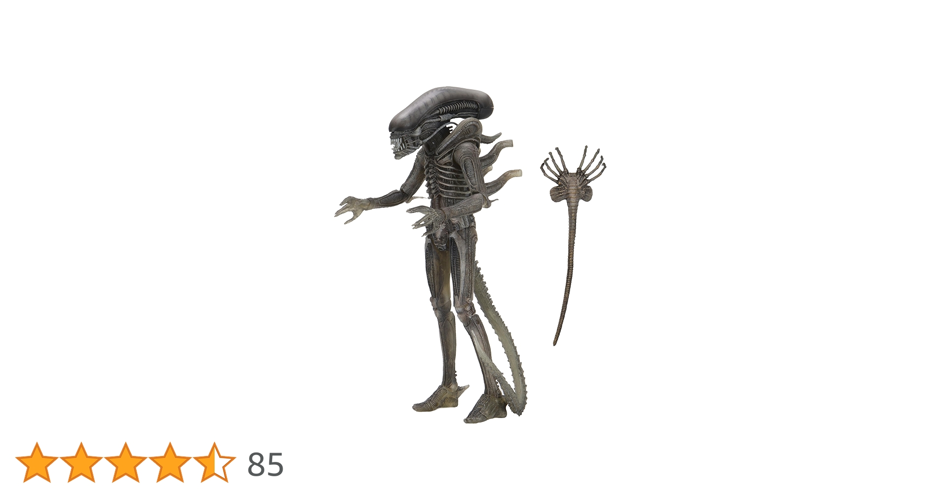 Amazon | Neca Alien 40th Anniversary Wave 4 The Alien Xenomorph
