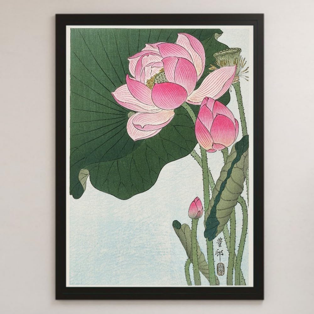 Amazon.co.jp: 小原古邨 睡蓮 花 浮世絵 アート 沢 ポスター A3 バー