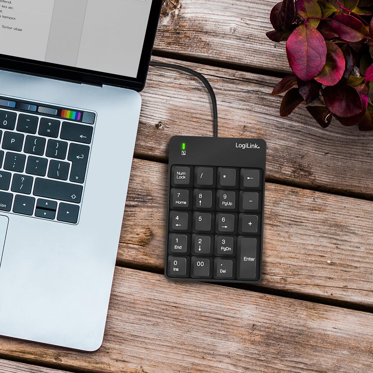 LogiLink ID0184 Teclado numérico Adicional con USB con indicador LED de Actividad, Color Negro