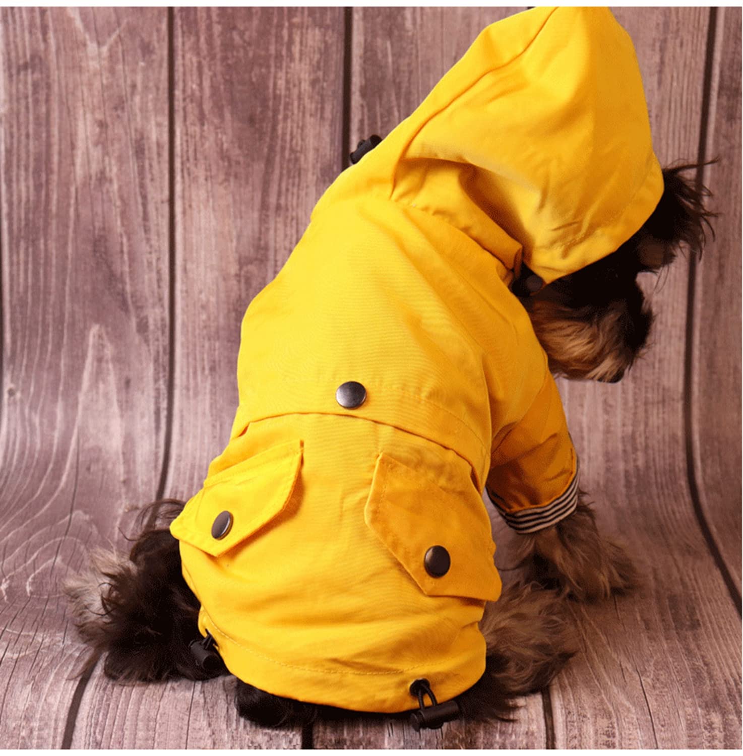 Skateboard Frog Veste de pluie pour chien avec fermeture éclair – Manteau de pluie résistant à l'eau – Élégant pour chien (taille L, jaune)