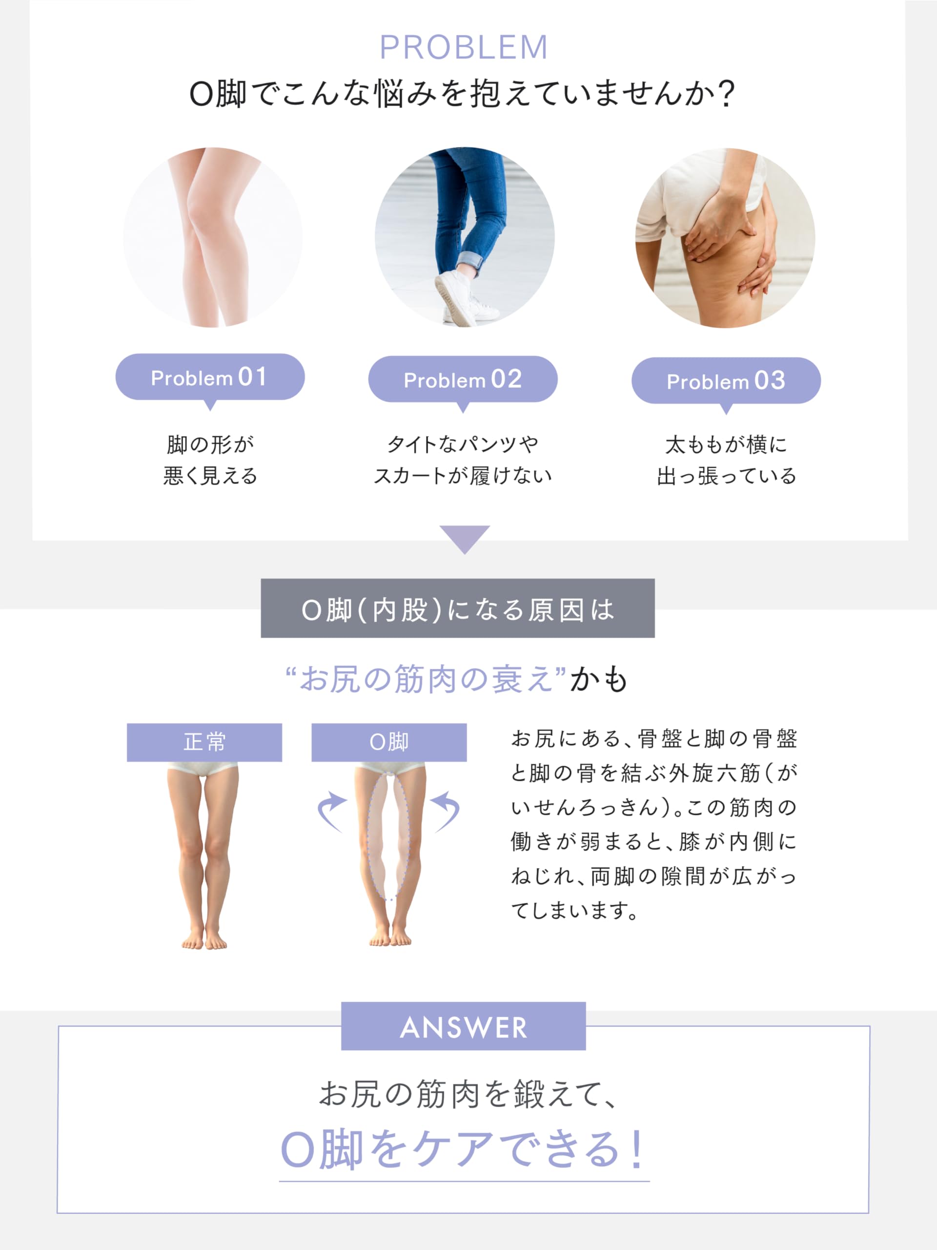Amazon.co.jp: MYTREX マイトレックス MODIFIT LEG モディフィット