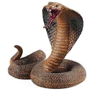 LA COBRA/HOW MUCH SNAKE CAN YOU TAKEメロハー LA COBRA/HOW MUCH SNAKE CAN YOU TAKEメロハー King Cobra