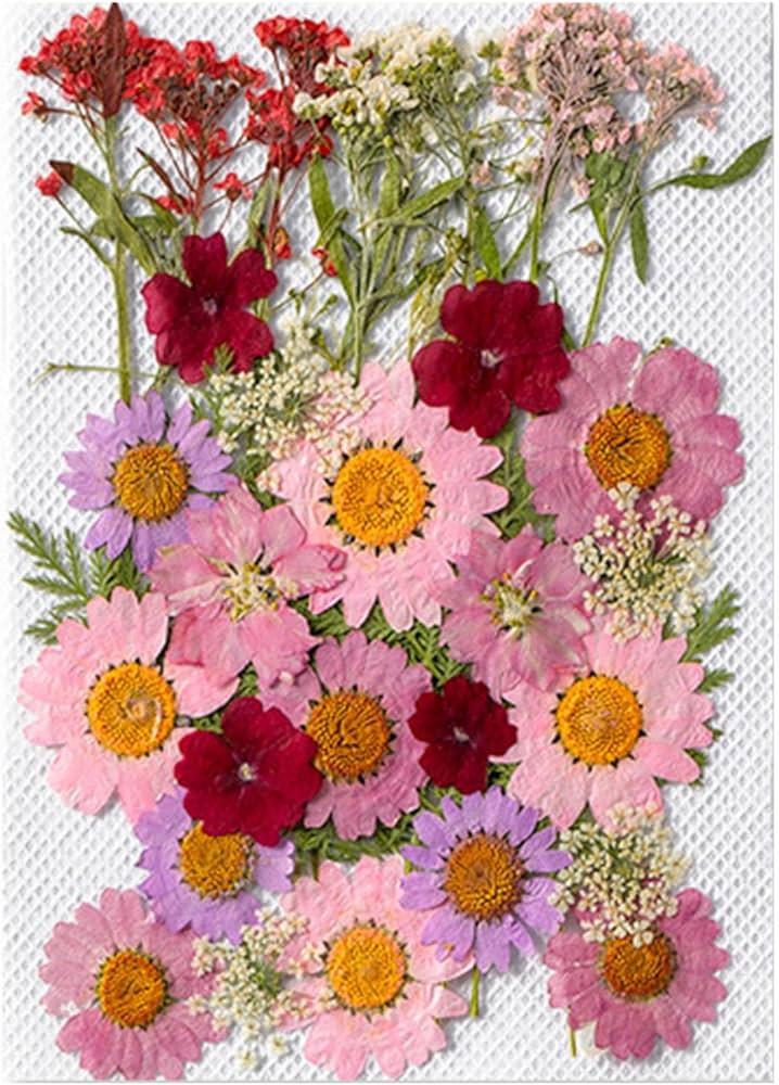 Amazon|ドライフラワー 枯れない花 35 枚 永遠の花 押し花ステッカー Amazon|ドライフラワー 枯れない花 35 枚 永遠の花 押し花ステッカー