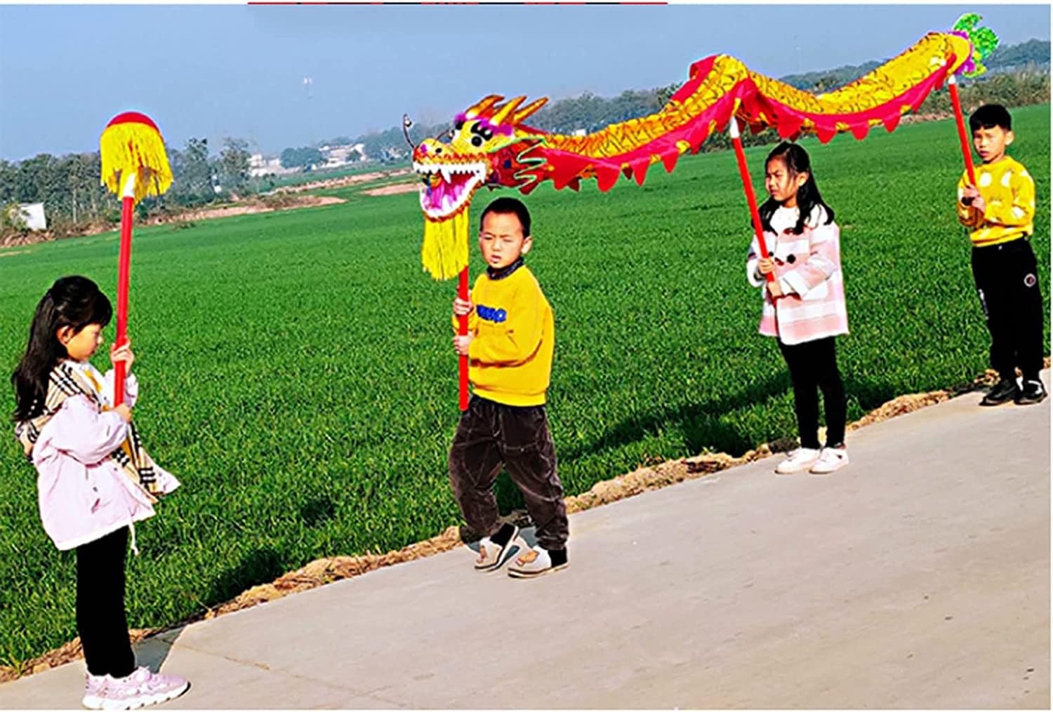 Ruban de danse Dragon en soie pour spectacles et défilés