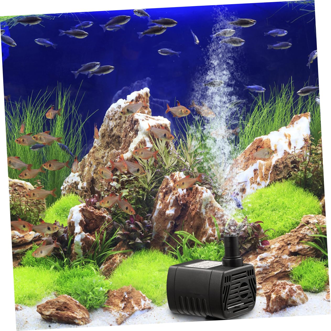 Kisangel 3 Pezzi Pompa Submersibile per Acquari e Fontane Silenziosa e Resistente per Acquatici Raffreddamento per Computer