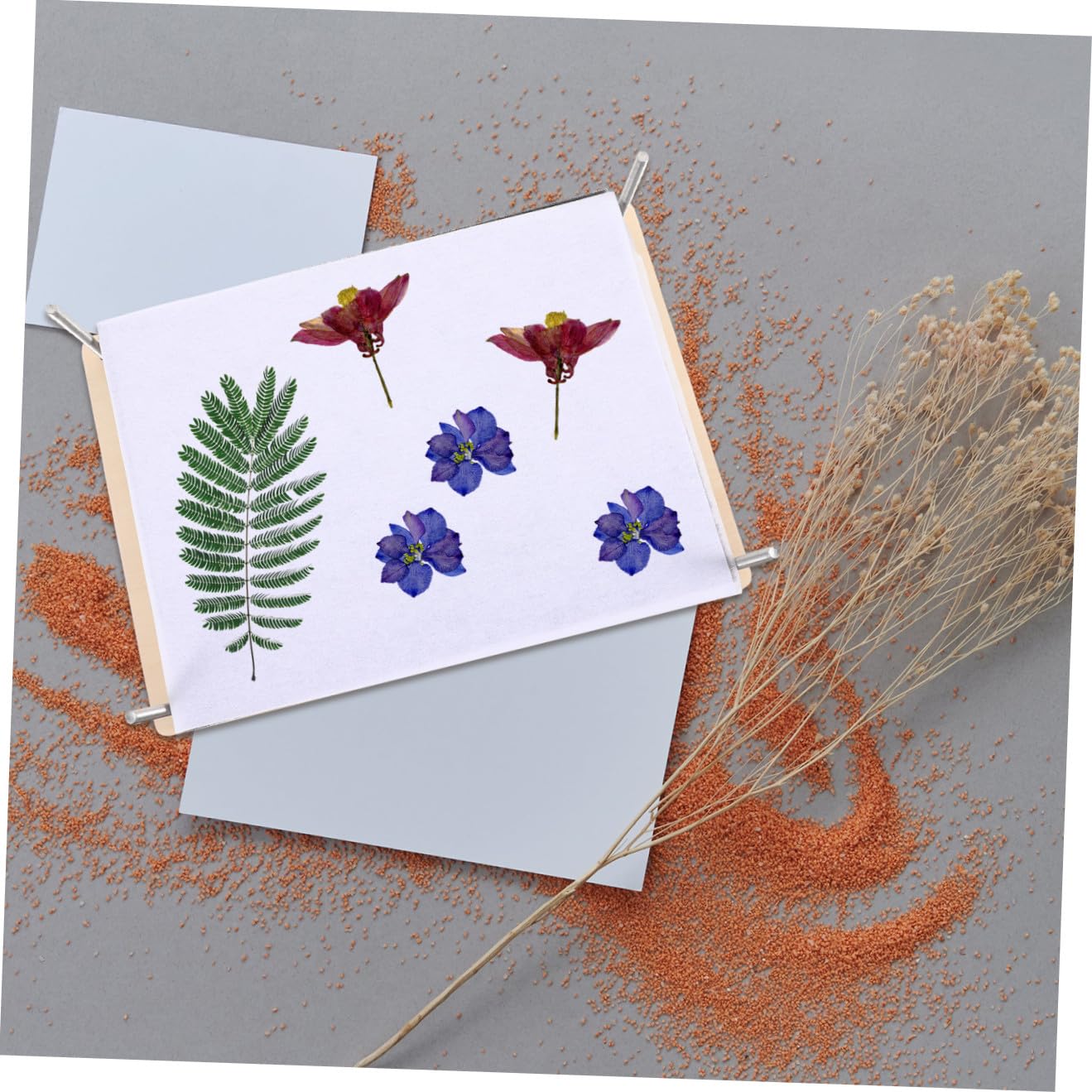 BESPORTBLE Blumenpress-set Diy-pflanzenpresse zum Pressen Getrockneter Blumen Werkzeugset für Pflanzenproben