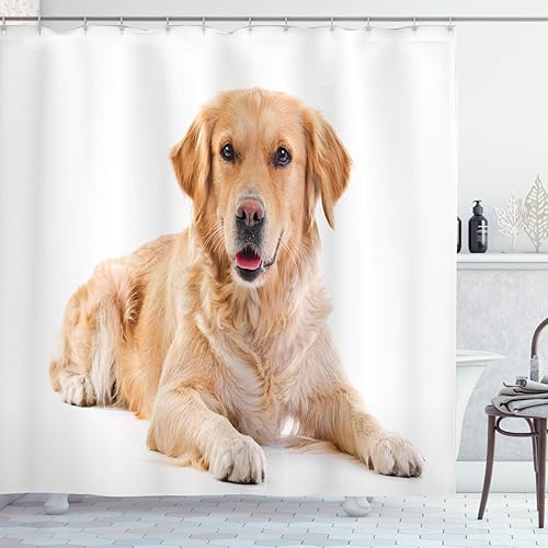 dorado Retriever cortina de ducha por Ambesonne, Young Pedigree Cachorro colocar sobre fondo blanco dulce bebé gamuza de perro, juego de decoración