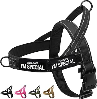 Eeyfarog No Pull Hundegeschirr für kleine mittelgroße Hunde, reflektierend ausbruchsicher verstellbar ohne Zug, Hundegeschirr (Schwarz, M) product image