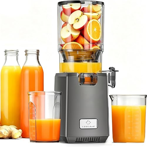 Extracteur de Jus de Fruits et Légumes LINKChef