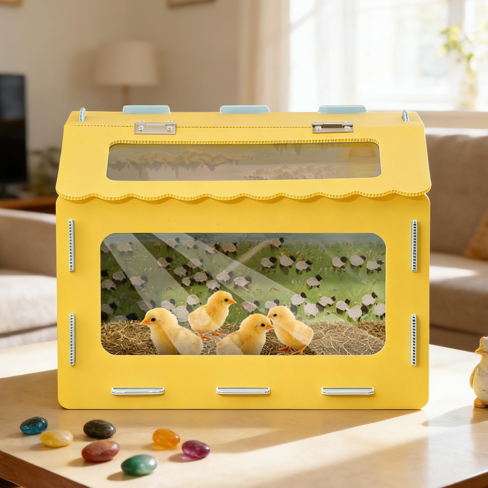 Terrarium dla gadów i płazów Wentylowana klatka dla małych zwierząt | Siedlisko Reptilien 40 x 30 x 30 cm dla Żaba Wąż Jaszczurka wewnątrz i na zewnątrz