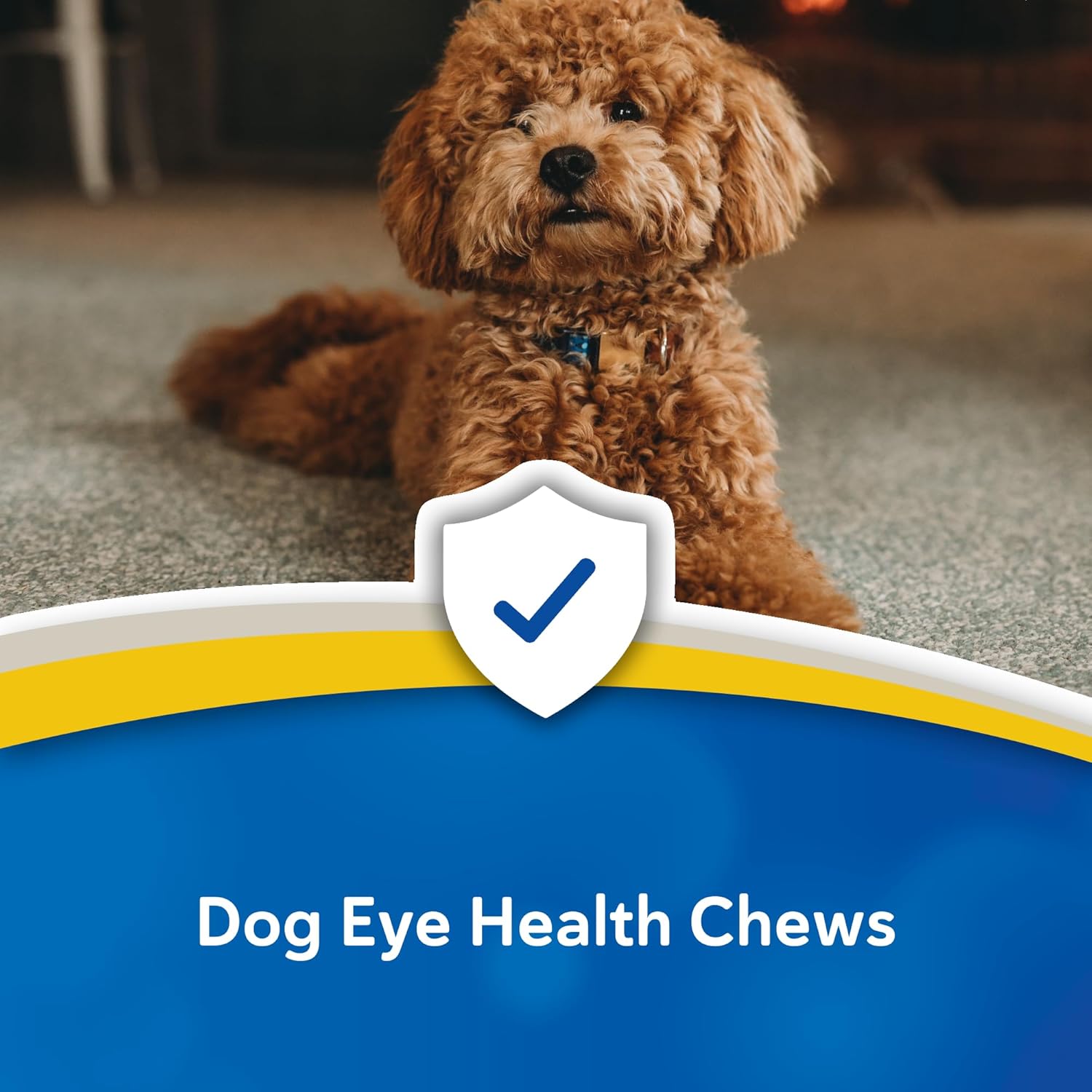 Doc Roy's Healthy Eyes - Vision and Eye Health Support for Dogs - 100 ct Chews
