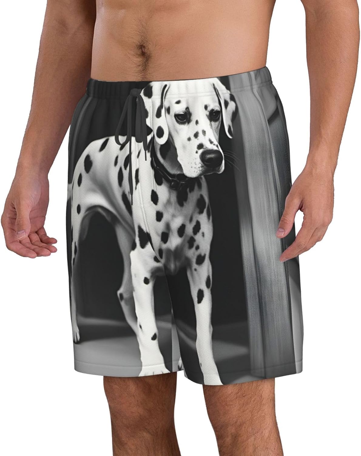 Mens Dalmatian Print Beach Shorts,Casual Summer Shorts for Men,Quick Dry Polyester