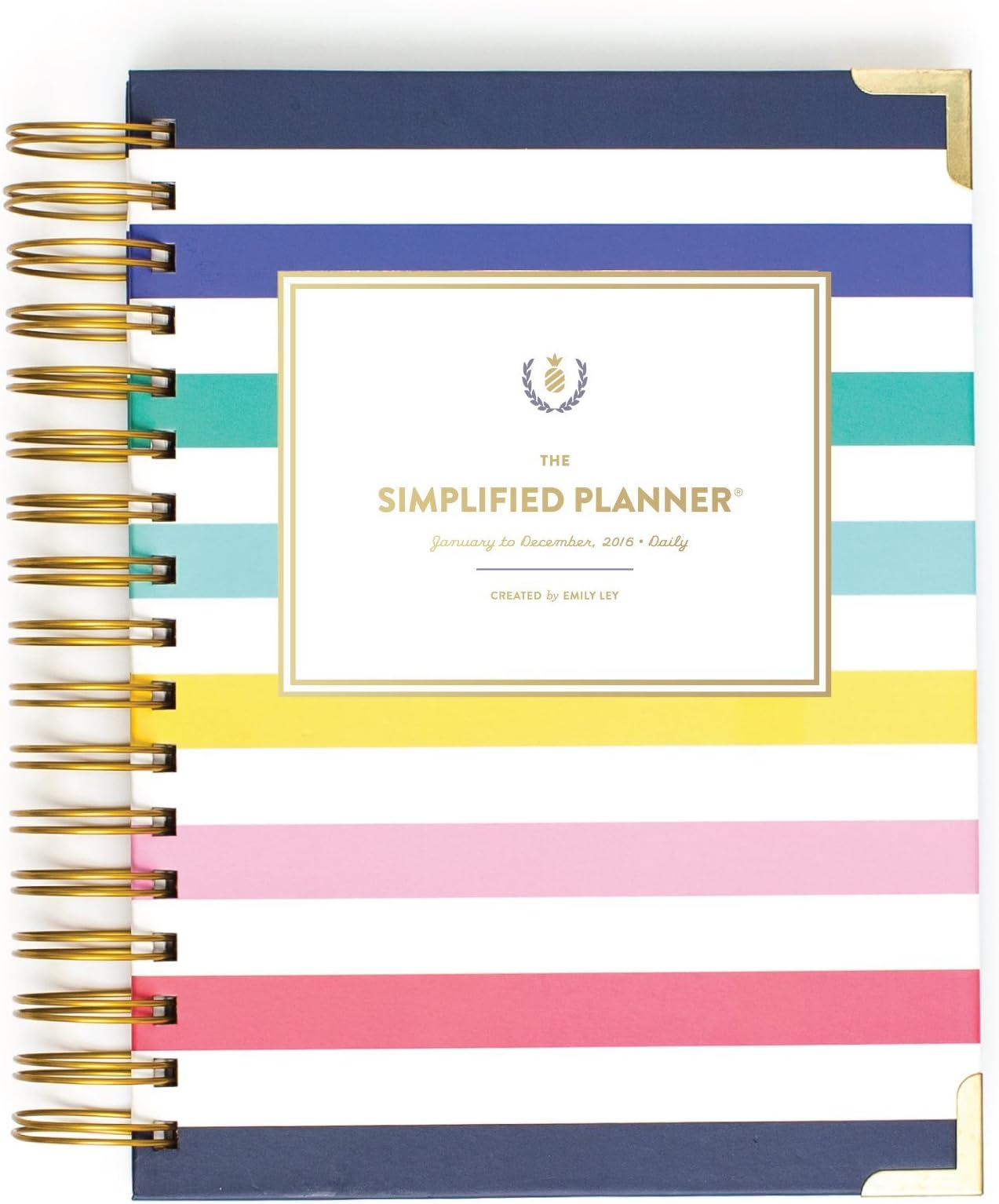 2016 Daily Simplified Planner - Happy Stripe