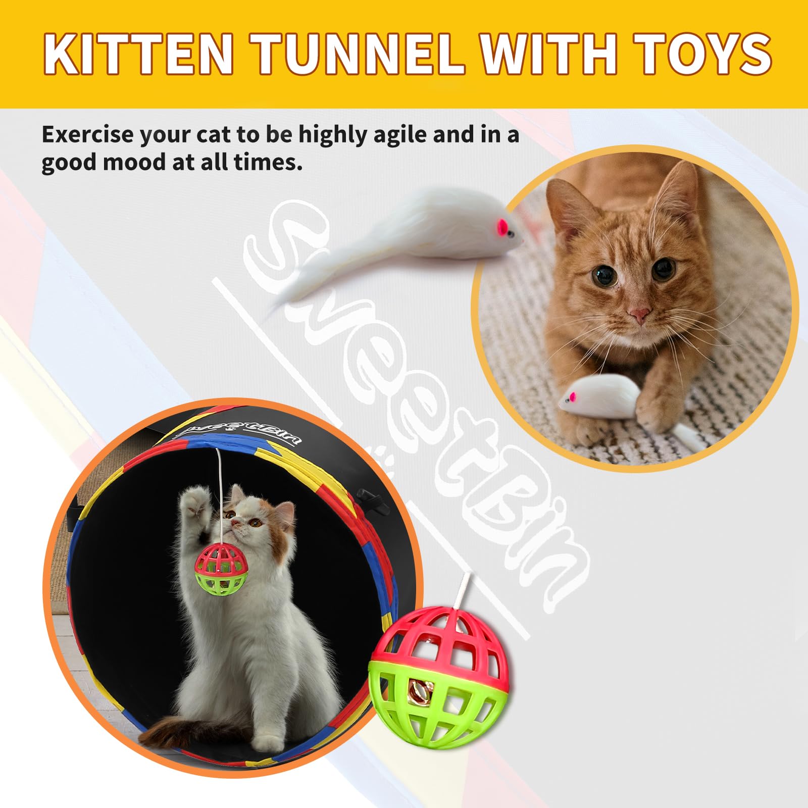 View 6