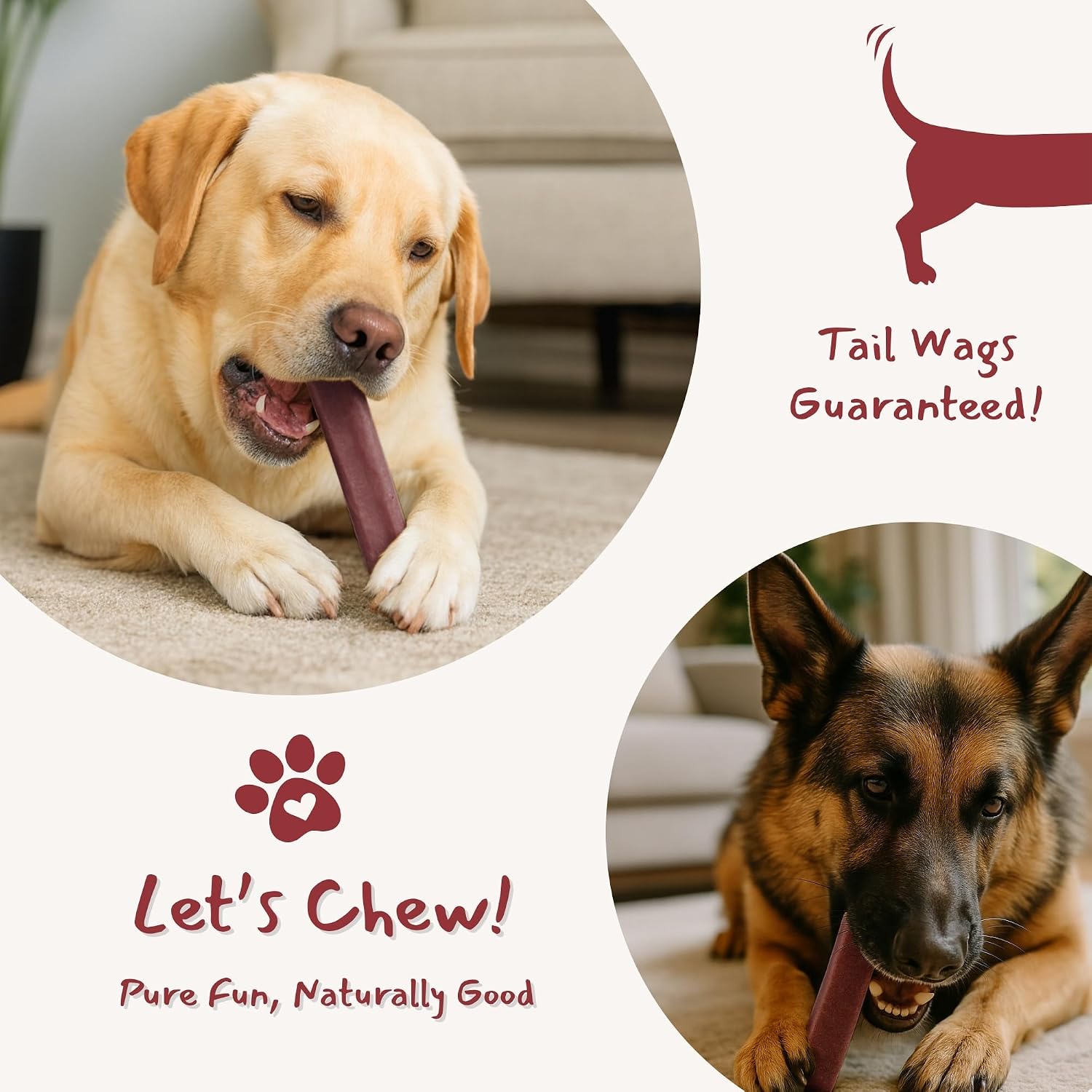 Majestic Pet Himalayan All-Natural Cheese Dog Chews - Long Lasting Dental Chew for Dogs - Healthy Pet Treats with Beneficial Ingredients (Urinary Tract Wellness, Large, 5 Pack)