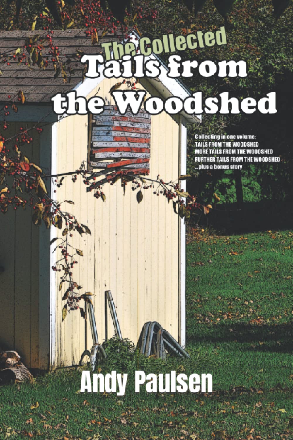 The Collected Tails from the Woodshed: Thirteen Male-Male Spanking Stories