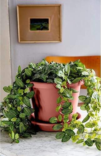 Miniatura 2 de The HC Companies - Maceta clásica de plástico resistente para interiores y exteriores, de 14 pulgadas, con borde enrollado y orificios de drenaje,