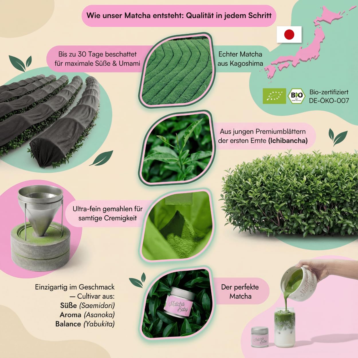 Matcha Set 5-teilig mit Bio Matcha Pulver 30 g aus Japan - Matcha Schale mit Ausguss, Chasen Bambusbesen, Chashaku Löffel und Besenhalter, komplettes Zubehör Set