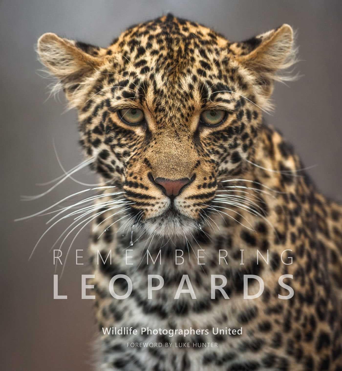 Remembering Leopards: 8 (Remembering Wildlife)