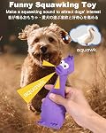 Squeaky Dog Toys, [2 Pack] Squawking Latex Toy with Interactive Squeaker, Squeak Rubber Duck Chicken for Medium Small Dogs