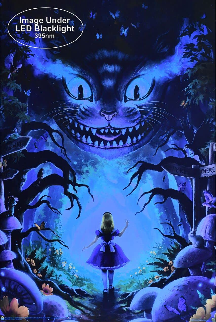 写真集　 ALICE in Wonderland Amazon.com: Scorpio Posters Alice in Wonderland - Non-Flocked