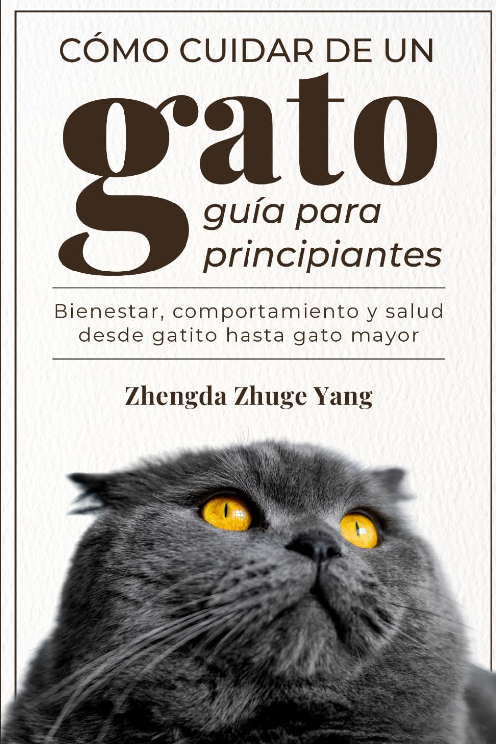 Cómo cuidar de un gato: guía para principiantes: Bienestar, comportamiento y salud desde gatito hasta gato mayor