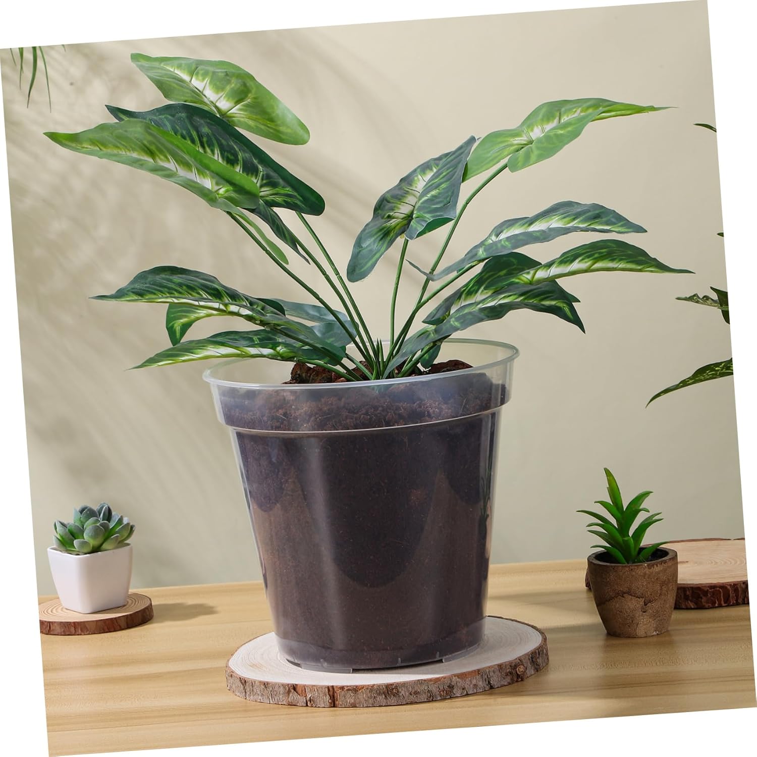 10pcs Clear Plastic Nursery Pots with Drainage Holes Transparent Orchid for Indoor Plants Sturdy Reusable Flower Pots for Garden and Home Use