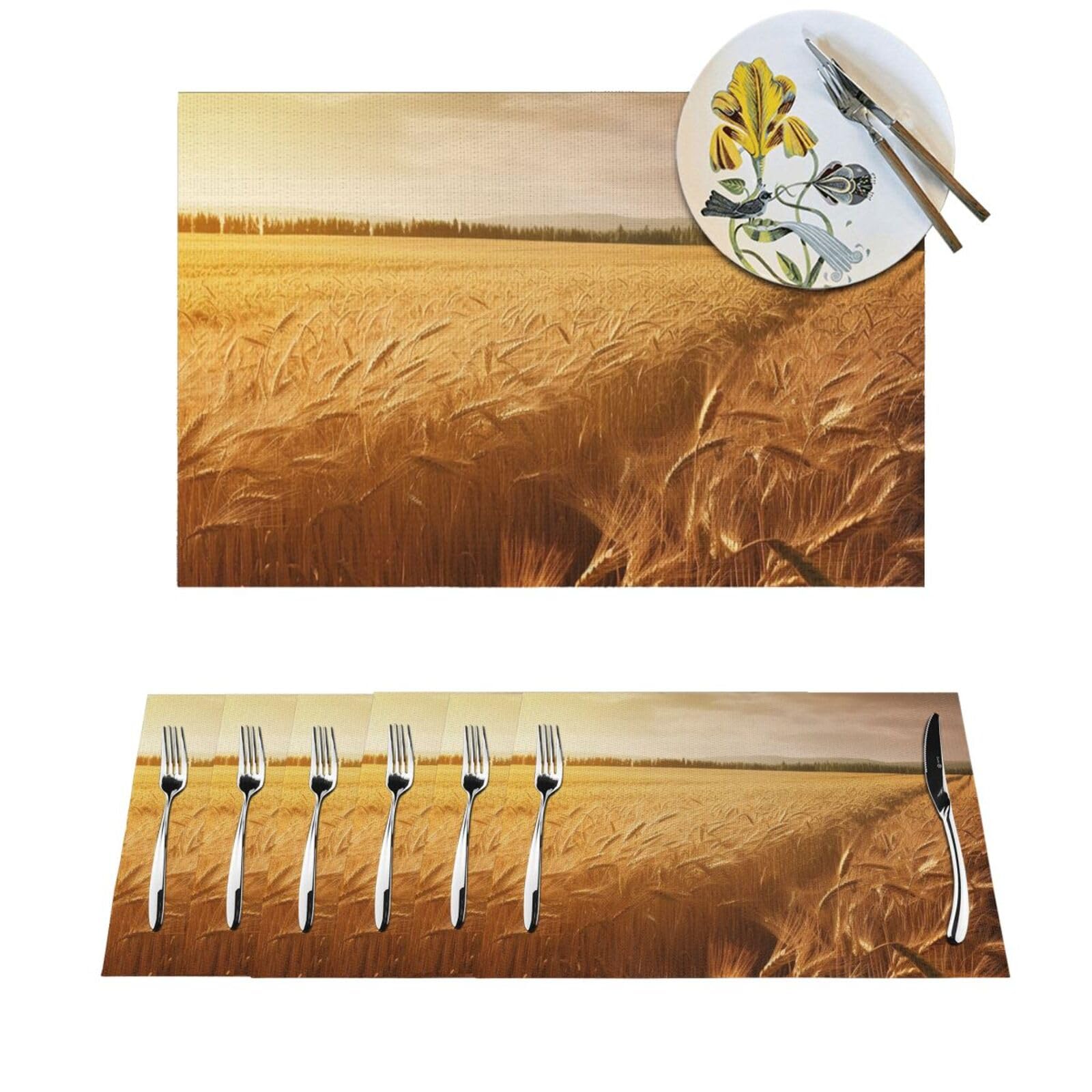 Set de table lavable protège table contre chaleur et taches