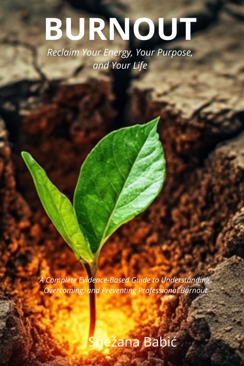 BURNOUT: Reclaim Your Energy, Your Purpose, and Your Life. A Complete Evidence-Based Guide to Understanding, Overcoming, and Preventing Professional Burnout (The Reclaim Series)