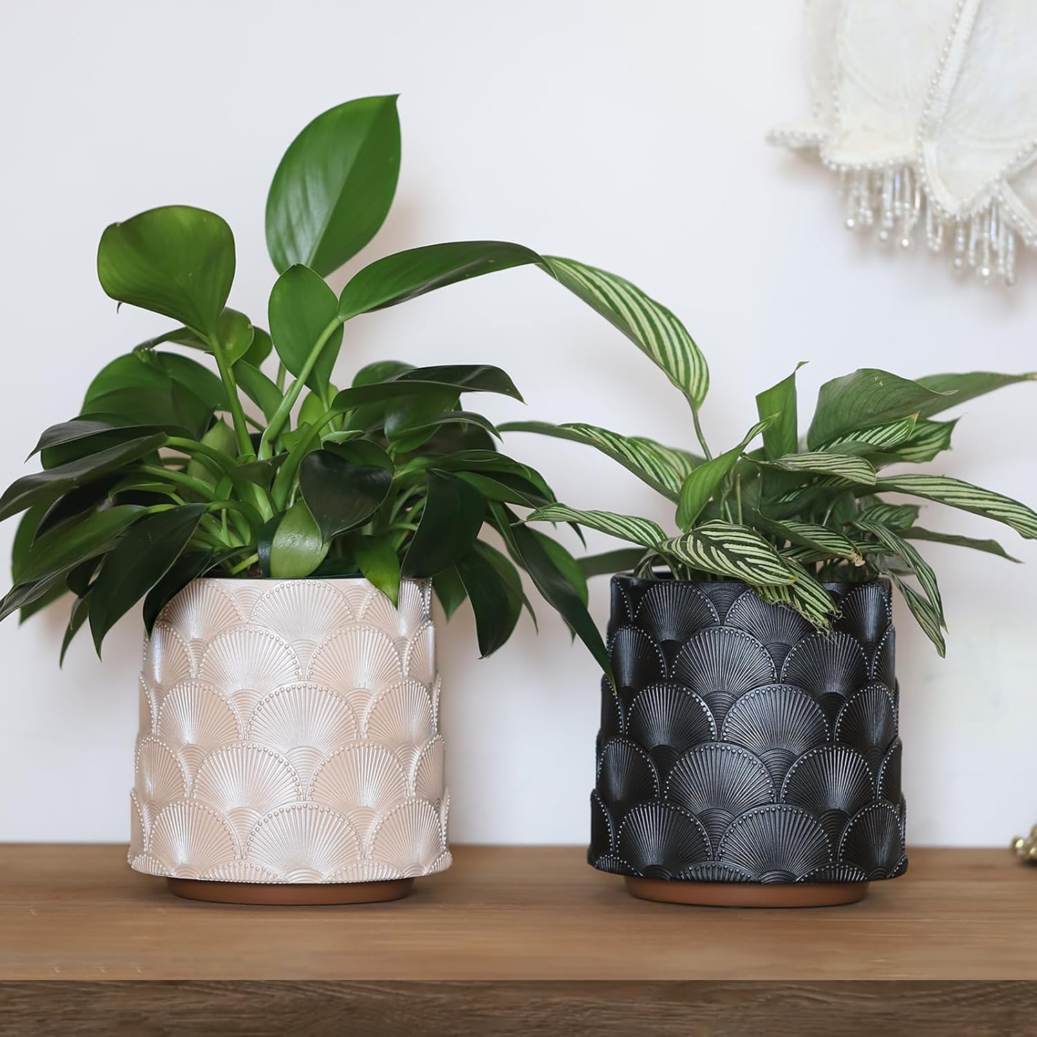 Pearl Schwarz Skala Blumentopf, Bunt Pflanzentopf mit Drainage, Eklektische Niedlichen Kleinen Übertöpfe für Zimmerpflanzen, Regenbogen Lustige Sukkulenten Gartenarbeit Topf Geschenke