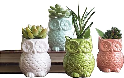 First of a Kind Owl Shaped Vases (Set of 4) - Ceramic Owl Succulent Planter Pots - Owls Gifts for Women - Owl Decor Vase - Farmhouse Stoneware Vases for Home Decor & Garden Gift