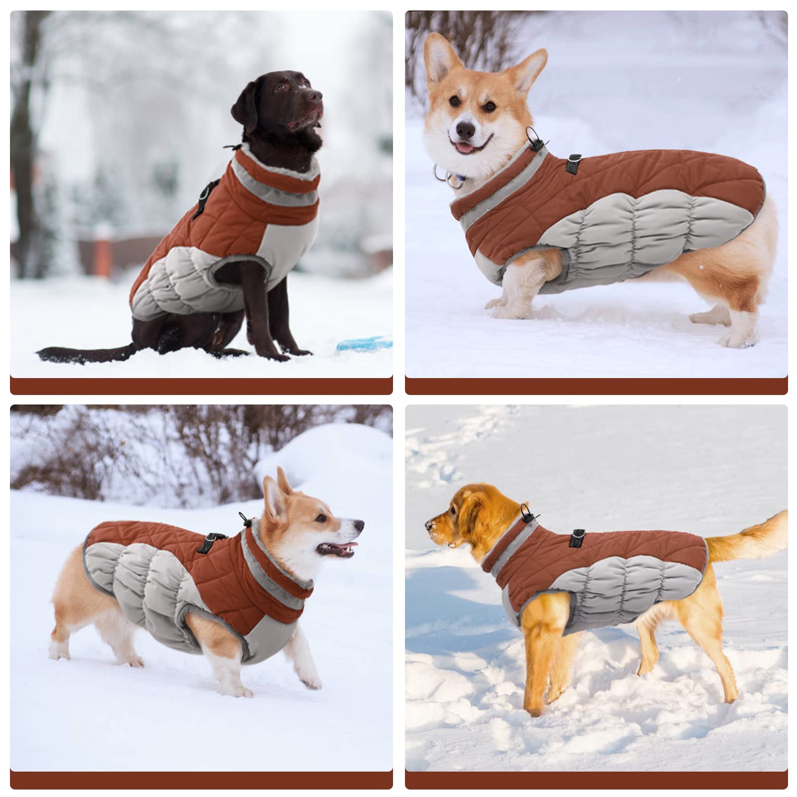 Kuoser Perros Abrigo, Impermeable Chaqueta arnes Perro de Invierno, 3XL | Perros Chaqueta impermeable, abrigo cálido de invierno con cremallera, tiras reflectantes y cordón ajustable para exteriores