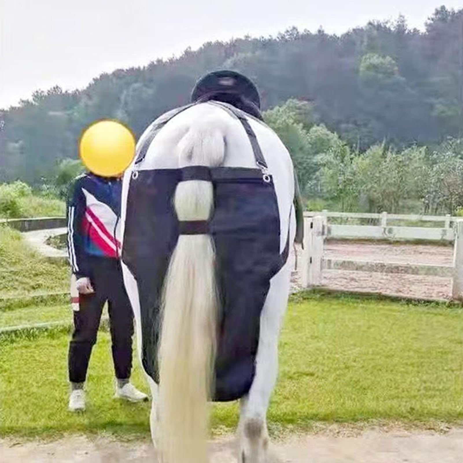 Bolsa De Cola De Caballo Mango Ergonómico y Recogida Impermeable | Sacos Ligeros para Excrementos Para Parque Campo Transporte Vehicular Granja